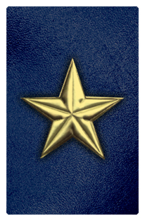 DF35T 430 GD BL Star Gold Blue